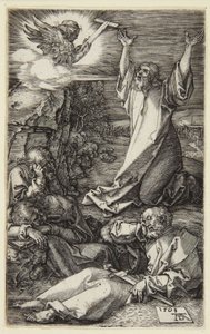  da Albrecht Dürer