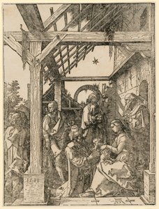  da Albrecht Dürer