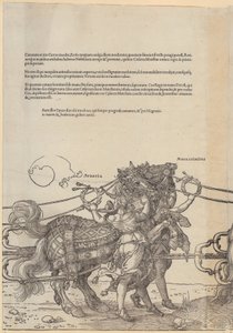  da Albrecht Dürer