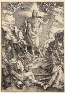  da Albrecht Dürer