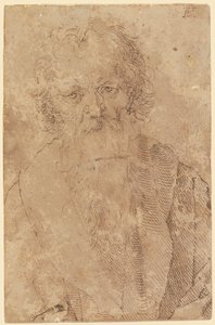  da Albrecht Dürer