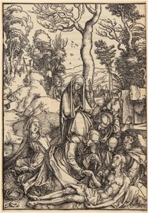  da Albrecht Dürer