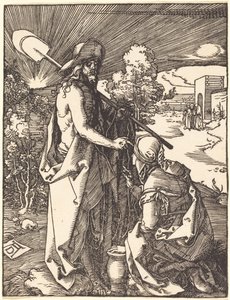  da Albrecht Dürer