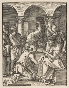  da Albrecht Dürer