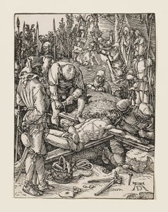  da Albrecht Dürer