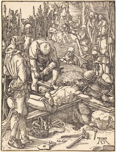  da Albrecht Dürer