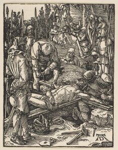  da Albrecht Dürer