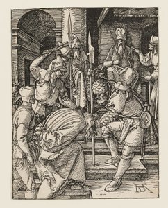  da Albrecht Dürer