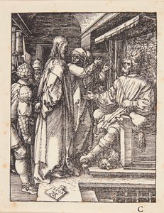  da Albrecht Dürer