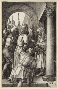  da Albrecht Dürer