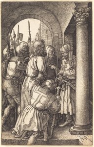  da Albrecht Dürer