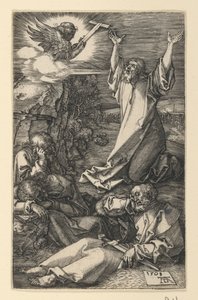  da Albrecht Dürer