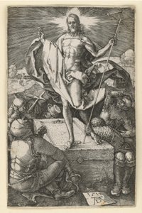  da Albrecht Dürer