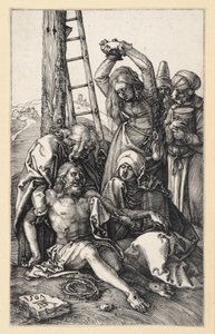 da Albrecht Dürer