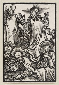  da Albrecht Dürer