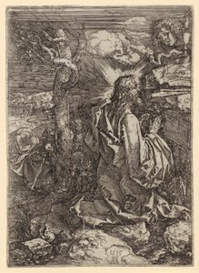  da Albrecht Dürer