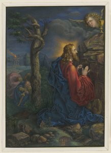  da Albrecht Dürer