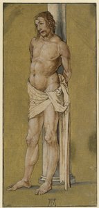  da Albrecht Dürer