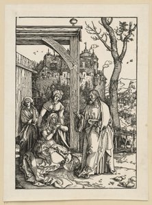 da Albrecht Dürer