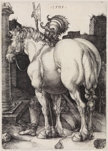  da Albrecht Dürer