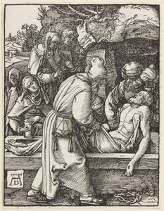  da Albrecht Dürer