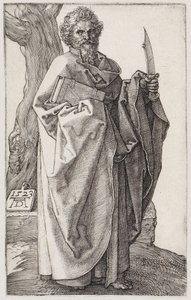  da Albrecht Dürer