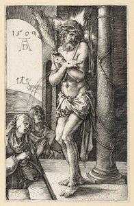  da Albrecht Dürer