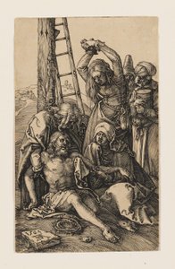  da Albrecht Dürer
