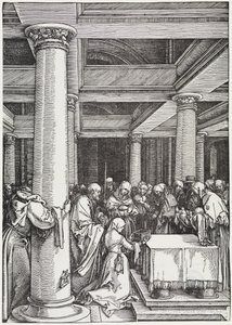  da Albrecht Dürer