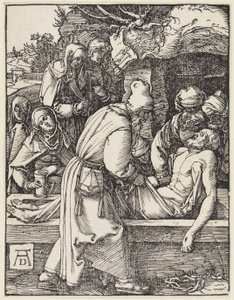  da Albrecht Dürer