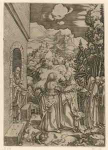 da Albrecht Dürer