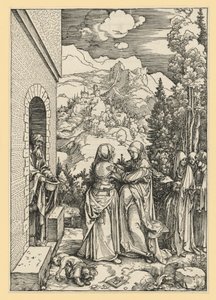  da Albrecht Dürer