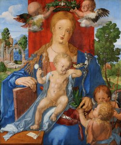  da Albrecht Dürer
