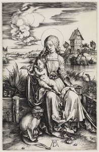  da Albrecht Dürer