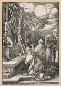  da Albrecht Dürer