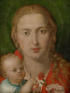 da Albrecht Dürer