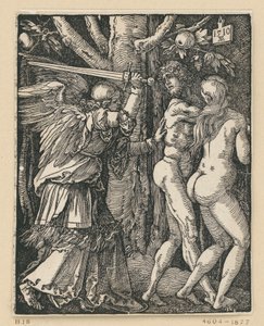  da Albrecht Dürer