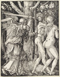 da Albrecht Dürer
