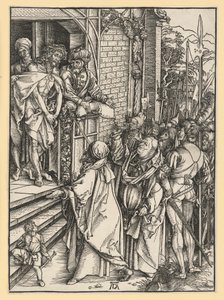  da Albrecht Dürer