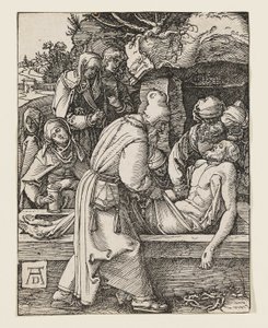  da Albrecht Dürer