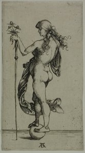 Fortuna