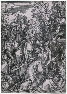  da Albrecht Dürer