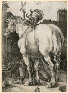  da Albrecht Dürer