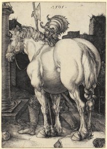 Grande cavallo da Albrecht Dürer