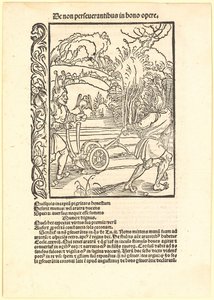  da Albrecht Dürer