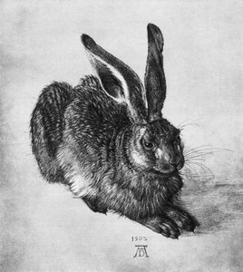 Lepre, 1502, 1936