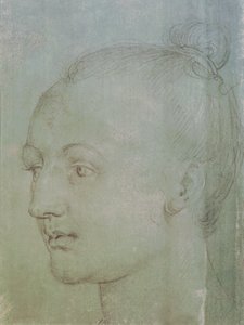 Testa di una giovane donna