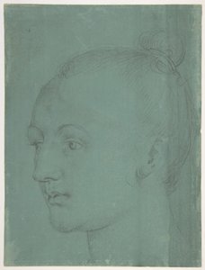  da Albrecht Dürer