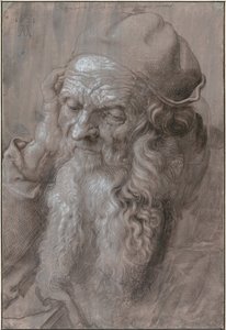 Testa di un vecchio, 1521 da Albrecht Dürer