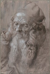 Testa di un vecchio, 1521 da Albrecht Dürer